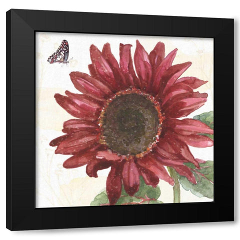 Sunflower Splendor X Black Modern Wood Framed Art Print with Double Matting by Grove, Beth