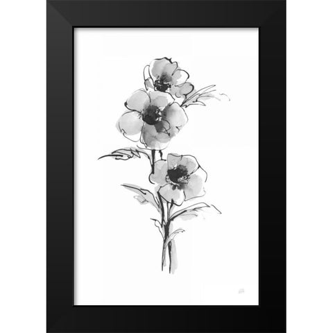 Wash Anemone II Black Modern Wood Framed Art Print by Paschke, Chris