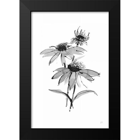 Wash Echinacea II Black Modern Wood Framed Art Print by Paschke, Chris