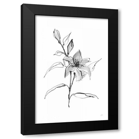 Wash Tiger Lily Black Modern Wood Framed Art Print with Double Matting by Paschke, Chris