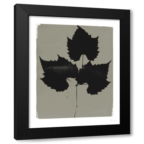 Nature by the Lake Leaves I Gray Black Modern Wood Framed Art Print with Double Matting by Rhue, Piper