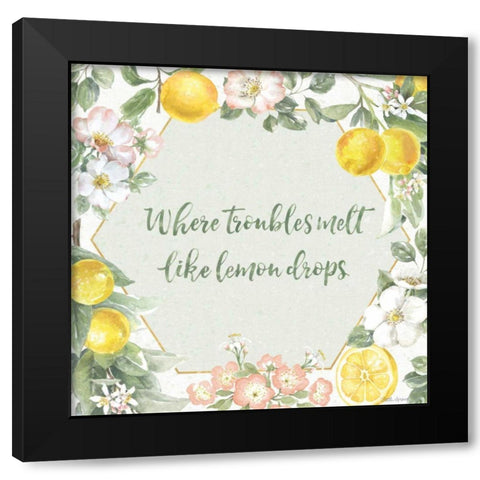 Citrus Charm III Black Modern Wood Framed Art Print with Double Matting by Grove, Beth