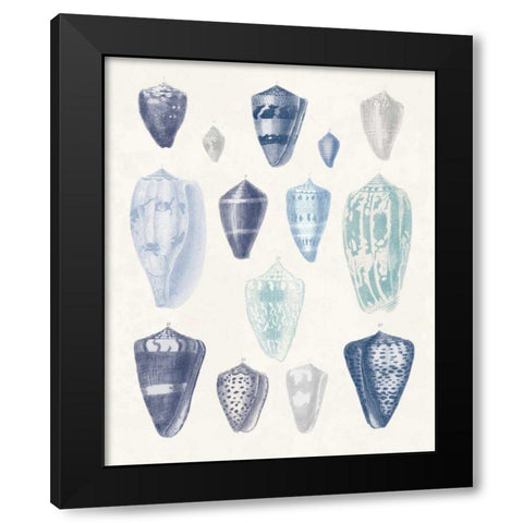 Blue Shell Assortment I Black Modern Wood Framed Art Print with Double Matting by Wild Apple Portfolio