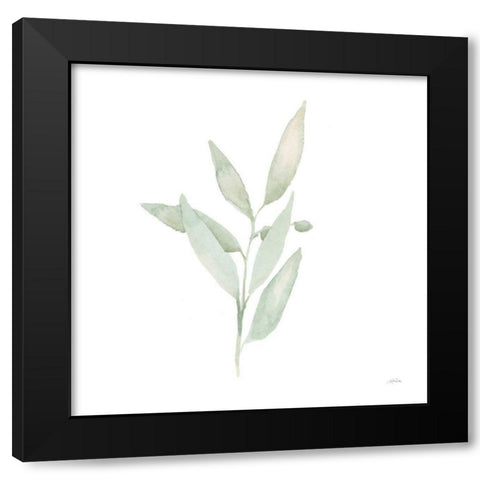 Sage II Black Modern Wood Framed Art Print by Pete, Katrina