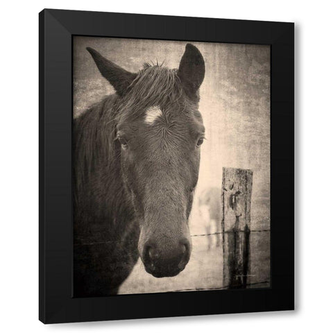 Heres Looking at You I Black Modern Wood Framed Art Print by Van Swearingen, Debra