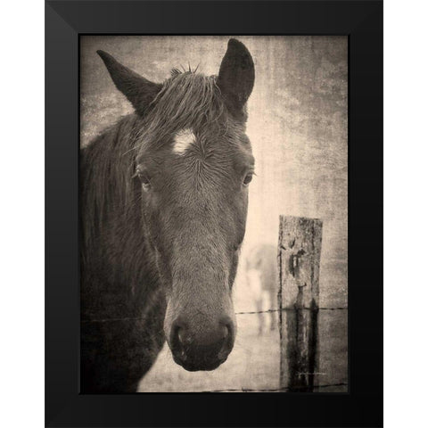 Heres Looking at You I Black Modern Wood Framed Art Print by Van Swearingen, Debra