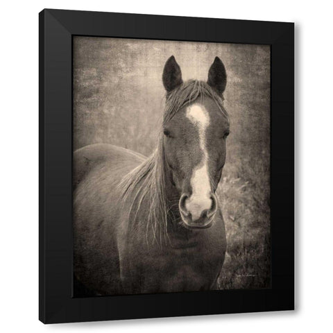 Heres Looking at You II Black Modern Wood Framed Art Print by Van Swearingen, Debra