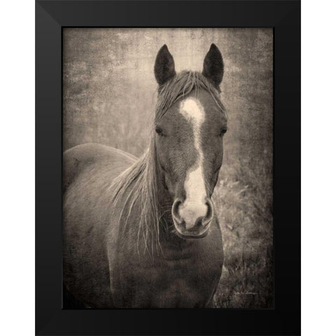 Heres Looking at You II Black Modern Wood Framed Art Print by Van Swearingen, Debra