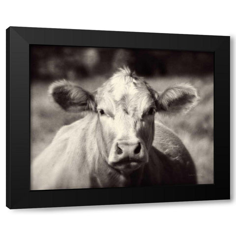 Pasture Cow Black Modern Wood Framed Art Print with Double Matting by Van Swearingen, Debra