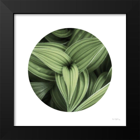 Corn Lily Circle II Black Modern Wood Framed Art Print by Majchrowicz, Alan