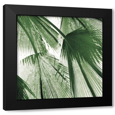 Leaf Abstract III Green Black Modern Wood Framed Art Print with Double Matting by Goldstein, Ed