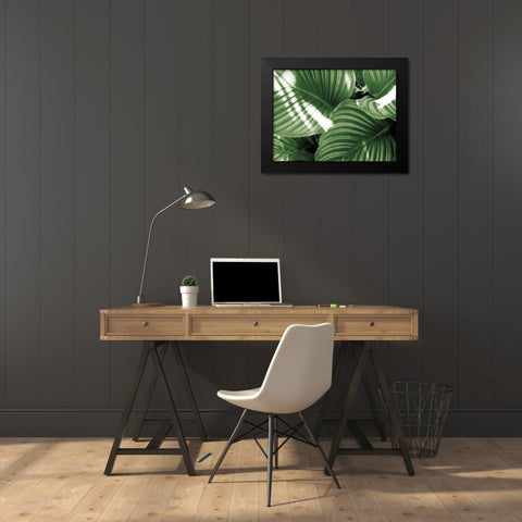 Leaf Abstract V Green Black Modern Wood Framed Art Print by Goldstein, Ed