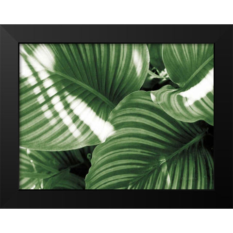 Leaf Abstract V Green Black Modern Wood Framed Art Print by Goldstein, Ed