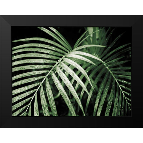 Palm Fronds Green Black Modern Wood Framed Art Print by Van Swearingen, Debra