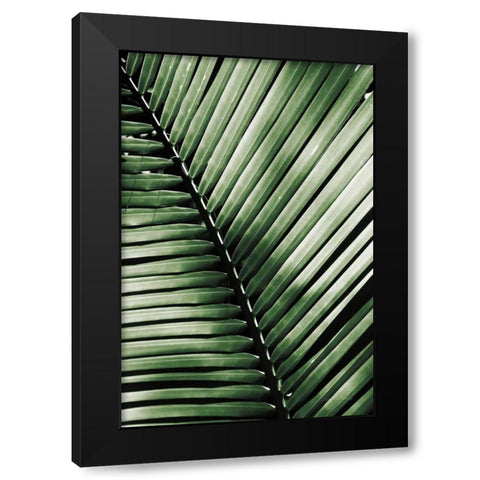 Palm Frond I Green Black Modern Wood Framed Art Print with Double Matting by Van Swearingen, Debra