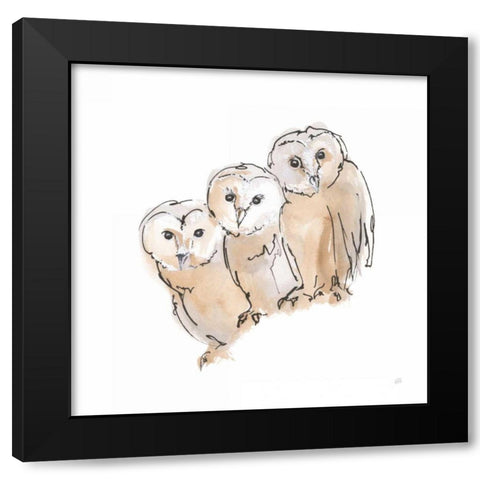 Barn Owl III Black Modern Wood Framed Art Print with Double Matting by Paschke, Chris