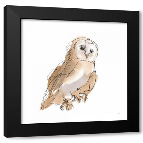 Barn Owl IV Black Modern Wood Framed Art Print by Paschke, Chris