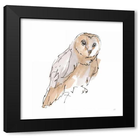 Barn Owl VI Black Modern Wood Framed Art Print with Double Matting by Paschke, Chris