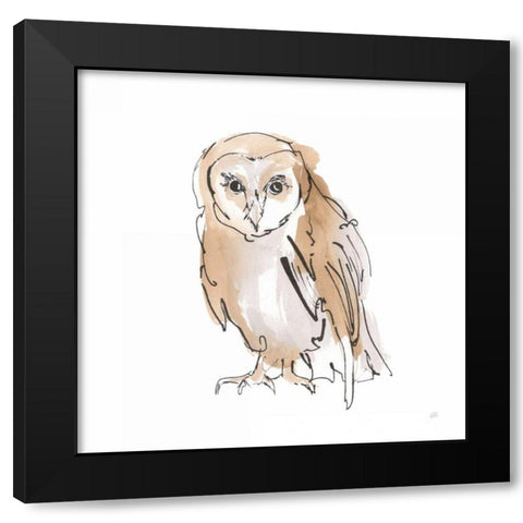 Barn Owl VII Black Modern Wood Framed Art Print with Double Matting by Paschke, Chris