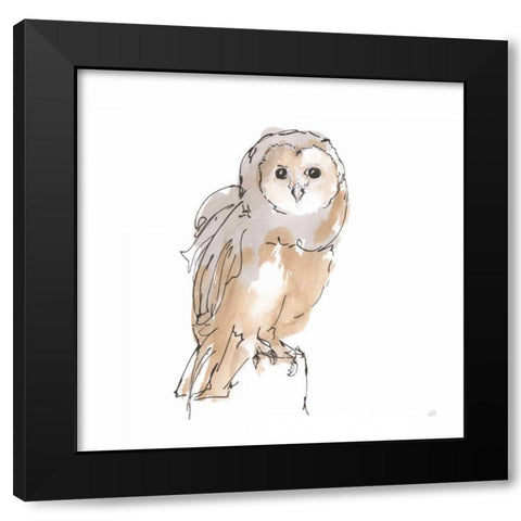 Barn Owl VIII Black Modern Wood Framed Art Print with Double Matting by Paschke, Chris