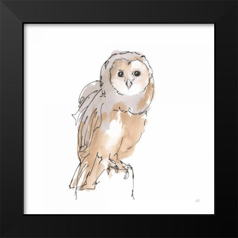 Barn Owl VIII Black Modern Wood Framed Art Print by Paschke, Chris
