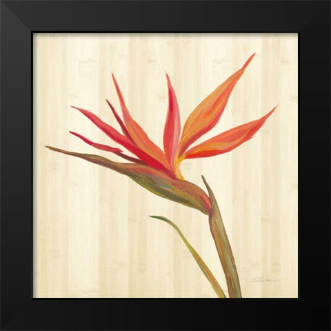 Tropical Garden IV Black Modern Wood Framed Art Print by Vassileva, Silvia