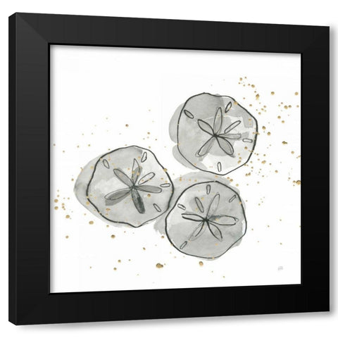 Sand Dollar III Black Modern Wood Framed Art Print by Paschke, Chris