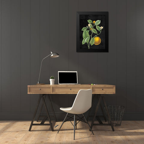Classic Citrus VI Black No Words Black Modern Wood Framed Art Print by Schlabach, Sue