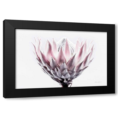Pale Protea Detail II Black Modern Wood Framed Art Print with Double Matting by Catterall, Elise