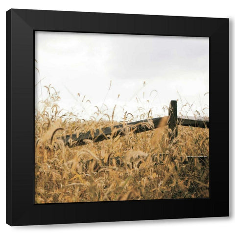 Fencerow Light Crop Black Modern Wood Framed Art Print with Double Matting by Aledanda