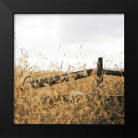 Fencerow Light Crop Black Modern Wood Framed Art Print by Aledanda