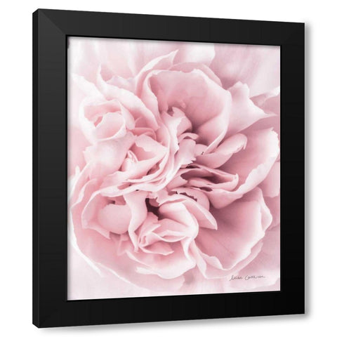 Pink Carnation Crop Black Modern Wood Framed Art Print with Double Matting by Catterall, Elise