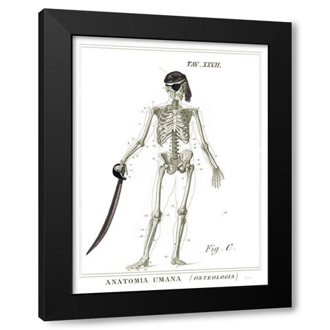 Dandy Bones Pirate Black Modern Wood Framed Art Print with Double Matting by Schlabach, Sue