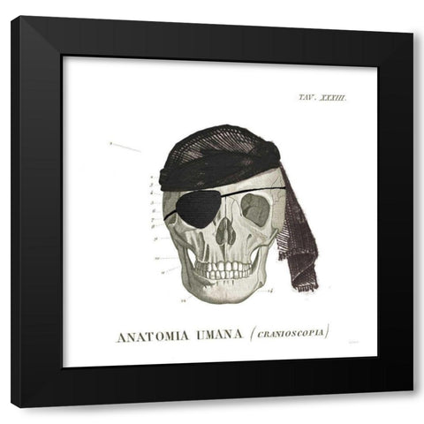 Dandy Bones VI Pirate Black Modern Wood Framed Art Print by Schlabach, Sue