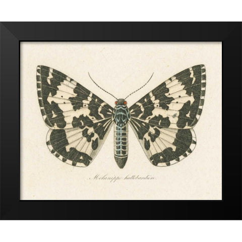 Natures Butterfly II Black Modern Wood Framed Art Print by Wild Apple Portfolio