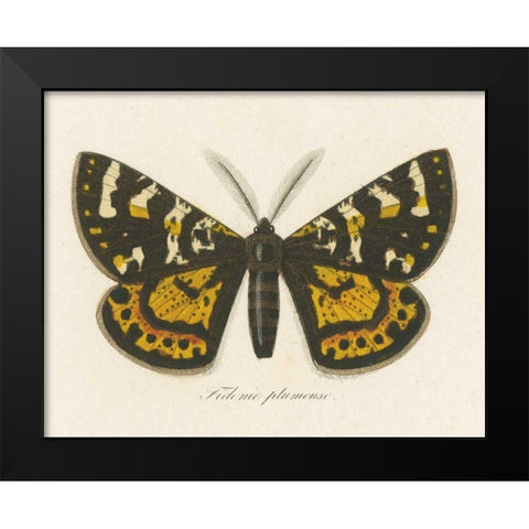 Natures Butterfly V Black Modern Wood Framed Art Print by Wild Apple Portfolio