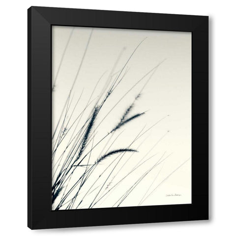Field Grasses I Black Modern Wood Framed Art Print with Double Matting by Van Swearingen, Debra