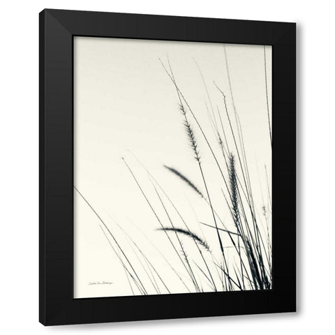 Field Grasses II Black Modern Wood Framed Art Print by Van Swearingen, Debra