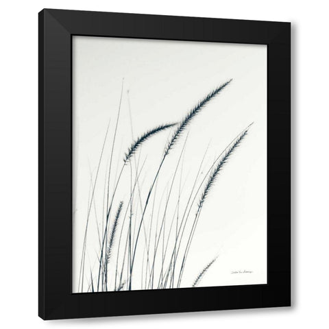 Field Grasses III Black Modern Wood Framed Art Print with Double Matting by Van Swearingen, Debra