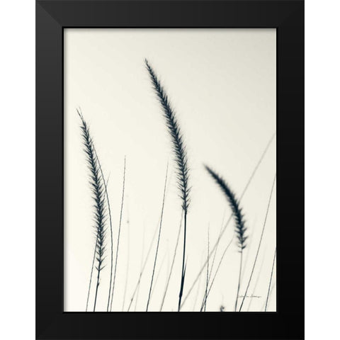 Field Grasses IV Black Modern Wood Framed Art Print by Van Swearingen, Debra