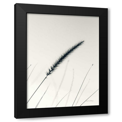 Field Grasses V Black Modern Wood Framed Art Print by Van Swearingen, Debra