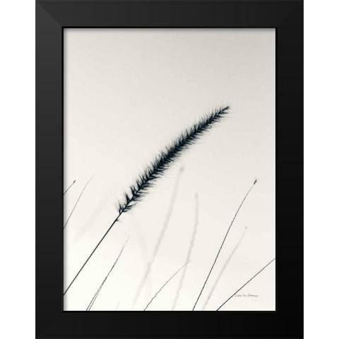 Field Grasses V Black Modern Wood Framed Art Print by Van Swearingen, Debra