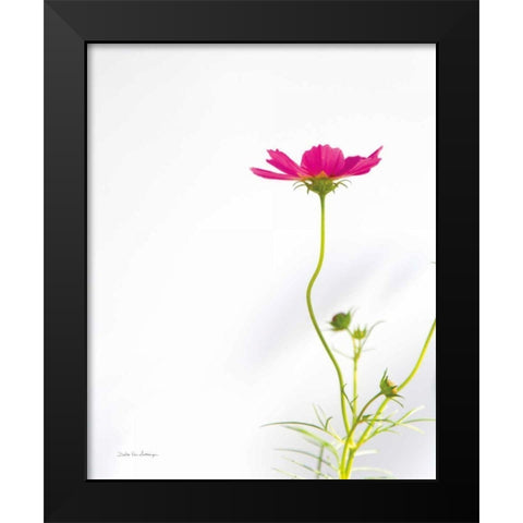 Magenta Cosmos II Black Modern Wood Framed Art Print by Van Swearingen, Debra