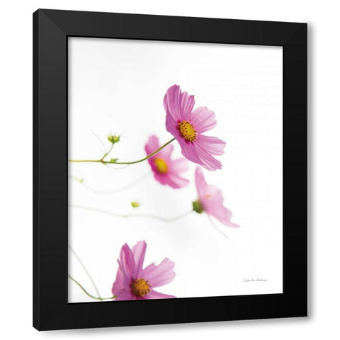 Pale Cosmos I Black Modern Wood Framed Art Print by Van Swearingen, Debra