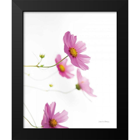 Pale Cosmos I Black Modern Wood Framed Art Print by Van Swearingen, Debra