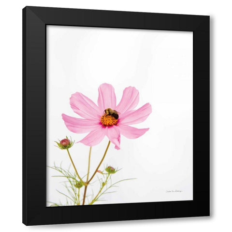 Pale Cosmos II Black Modern Wood Framed Art Print by Van Swearingen, Debra