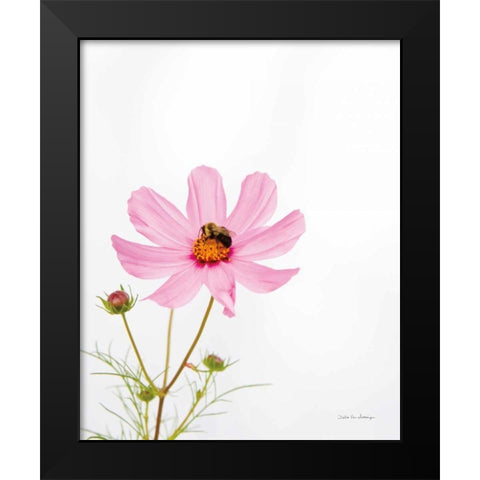 Pale Cosmos II Black Modern Wood Framed Art Print by Van Swearingen, Debra