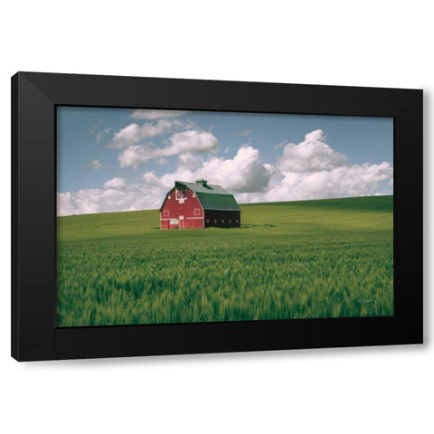 Palouse Region Red Barn I Black Modern Wood Framed Art Print with Double Matting by Majchrowicz, Alan