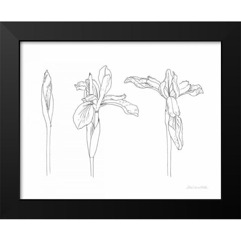 Sketched Iris Black Modern Wood Framed Art Print by Miller, Sara Zieve