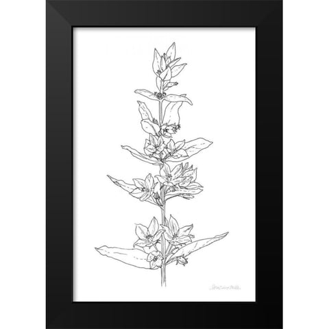 Sketched Flowers Black Modern Wood Framed Art Print by Miller, Sara Zieve